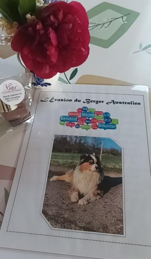 Appartement L'évasion du berger australien à Couvin Extérieur photo